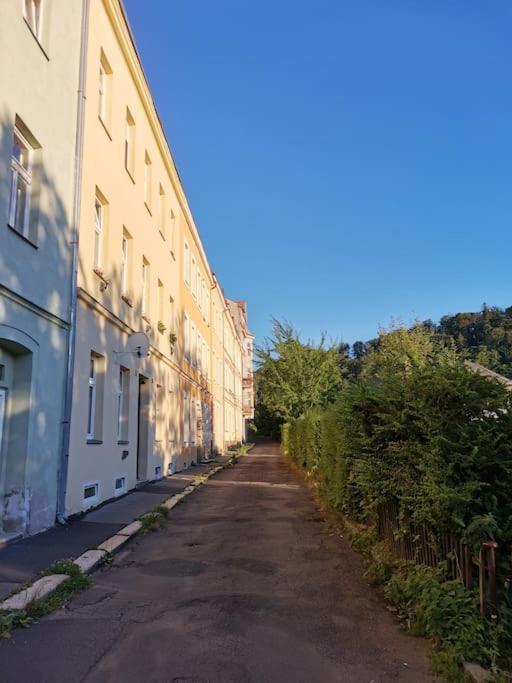 Apartmán Ubytovani Ester - Utulny Byt V Lazenskem Centru Karlovych Varu Se Zahradkou Karlovy Vary Exteriér fotografie