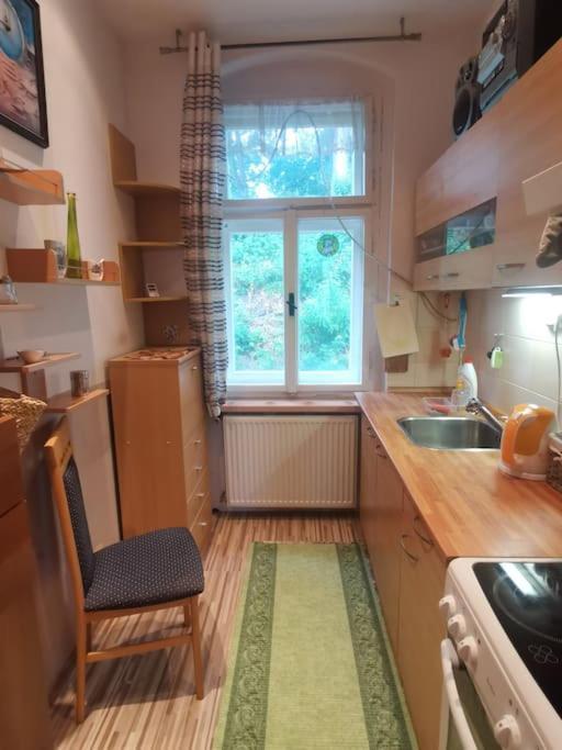 Apartmán Ubytovani Ester - Utulny Byt V Lazenskem Centru Karlovych Varu Se Zahradkou Karlovy Vary Exteriér fotografie
