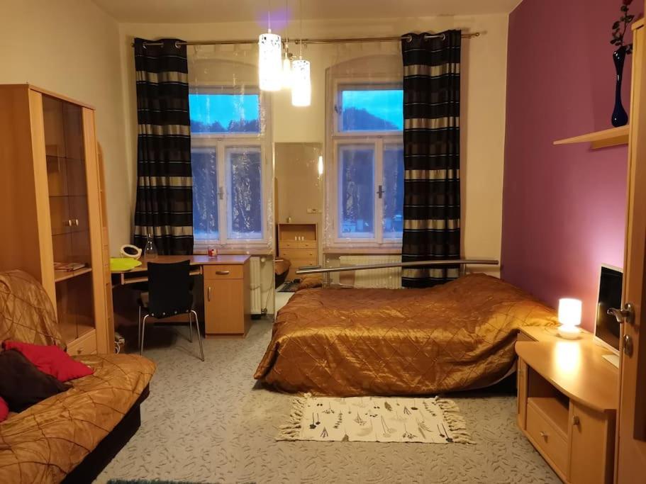 Apartmán Ubytovani Ester - Utulny Byt V Lazenskem Centru Karlovych Varu Se Zahradkou Karlovy Vary Exteriér fotografie
