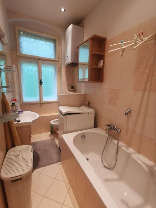Apartmán Ubytovani Ester - Utulny Byt V Lazenskem Centru Karlovych Varu Se Zahradkou Karlovy Vary Exteriér fotografie