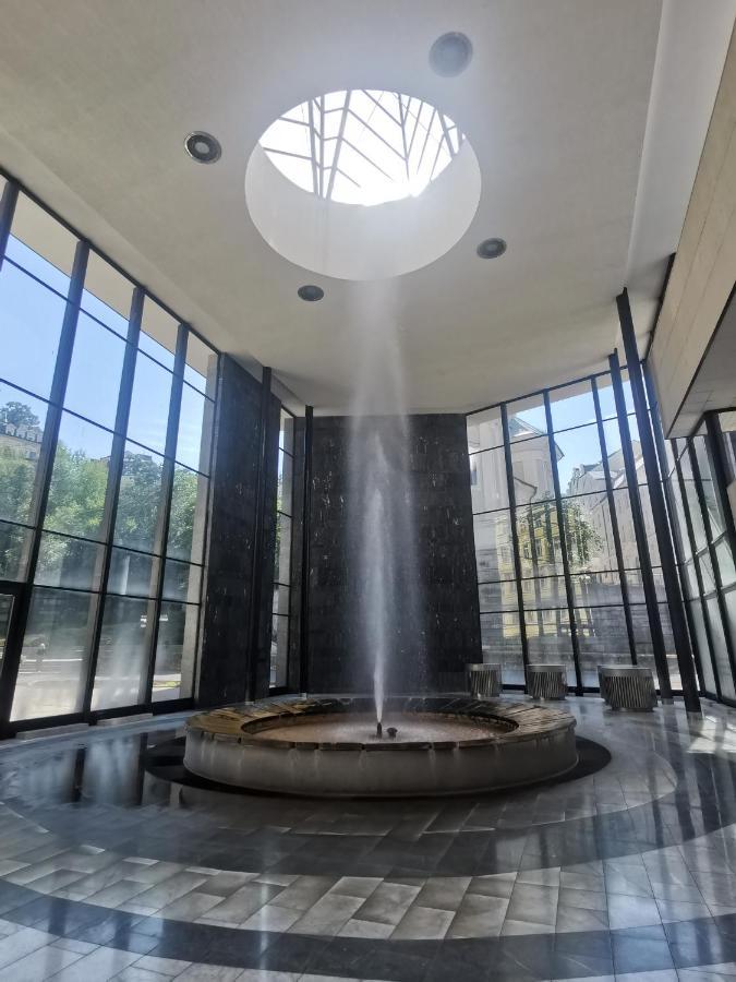 Apartmán Ubytovani Ester - Utulny Byt V Lazenskem Centru Karlovych Varu Se Zahradkou Karlovy Vary Exteriér fotografie