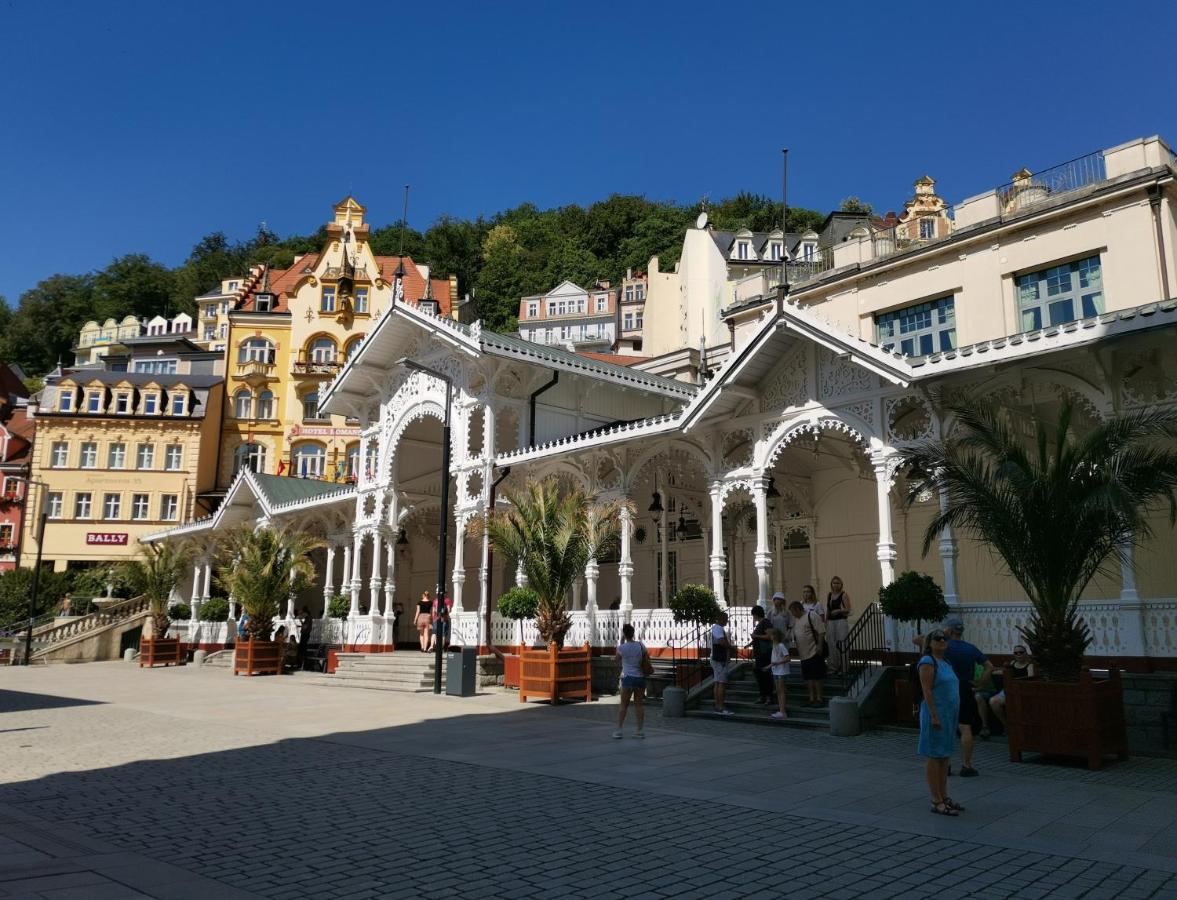Apartmán Ubytovani Ester - Utulny Byt V Lazenskem Centru Karlovych Varu Se Zahradkou Karlovy Vary Exteriér fotografie